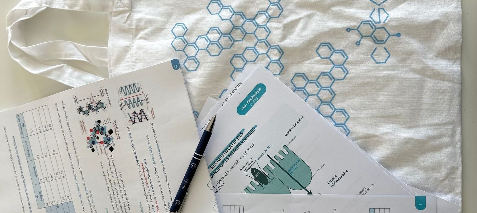 MMOPK : quelles sont les spécialités les plus demandées après une prépa médecine ? Schiltigheim