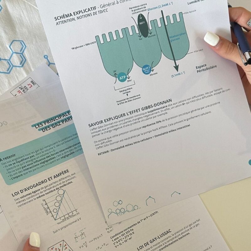 COSMOS_QUI_SOMMES_NOUS23 800X800 | COSM’OS Prépa Médecine Strasbourg – Une équipe pédagogique expérimentée à vos côtés Schiltigheim 25